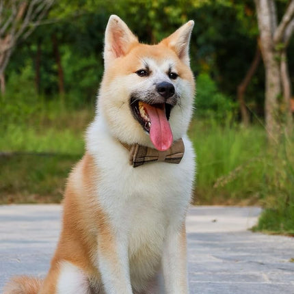 Faleela Soft &Comfy Bowtie Dog Collar,Detachable and Adjustable Bow Tie Collar,for Small Medium Large Pet (S, Brown)