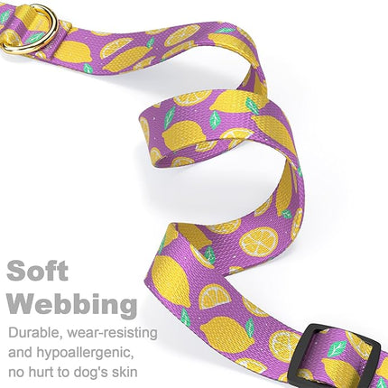 Rnivvi Dog Collar for Small Dogs, Cute Heavy Duty Adjustable Puppy Collar with Quick Release Buckle for Girl & Female, Pet Accessories for Walking Running, S Length 3/4" Width, Lemon