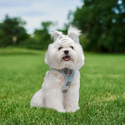 EXPAWLORER Classic Plaid Puppy Harness - Small Dog Collar and Leash with AirTag Holder Case - Soft Mesh Padded Adjustable Dog Vest Harness No Pull, Reflective Escape Proof for Outdoor, Blue S