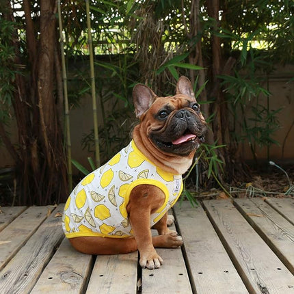 iChoue 100% Breathable Cotton English Bulldog Halloween Cartoon T Shirts Cute Clothes for Medium Large Dogs Vest Tank Tops Terrier Pitbull Lemon - XXLarge