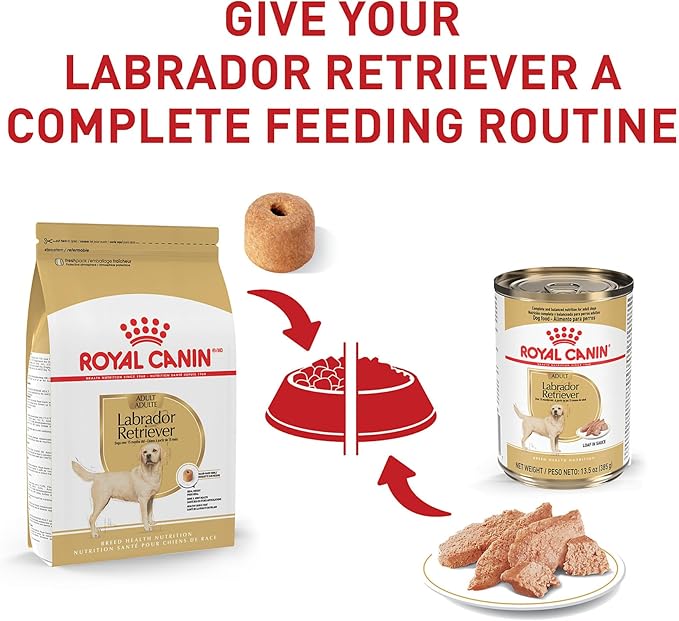 Royal Canin Breed Health Nutrition Labrador Retriever Adult Loaf in Sauce Dog Food, 13.5 oz (Pack of 12)