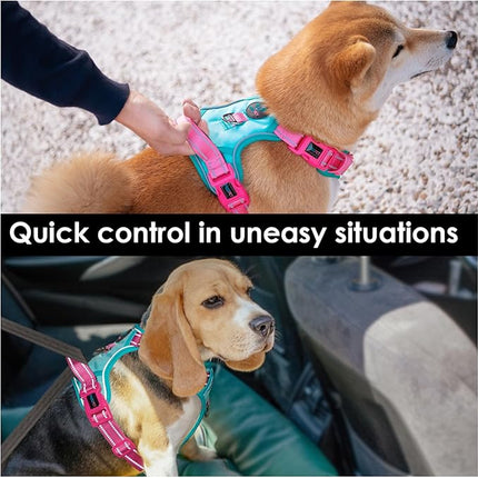PHOEPET No Pull Dog Harness, Unique Colors Reflective Adjustable Dog Vest, with Soft Training Handle Metal Clips for Small Medium Large Dogs (Mint Green Base & Pink Straps,M)