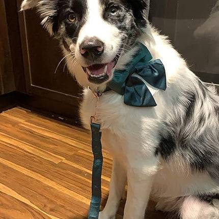 Lionet Paws Bowtie Dog Collar - Comfortable Silk Dog Collar with Detachable Bow Tie for Medium Dogs, Neck 13.5-22 Inches