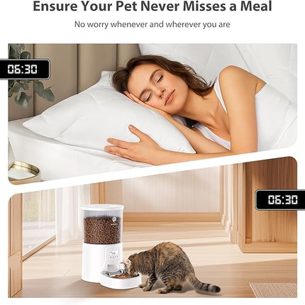 Automatic Cat Feeder: 4L Timed Cats Food Dispenser Programmable 1-6 Meal for Cat and Small Medium Dog- Auto Pet Feeder Dual Power Supply with Stainless Steel& | Detachable Washable White