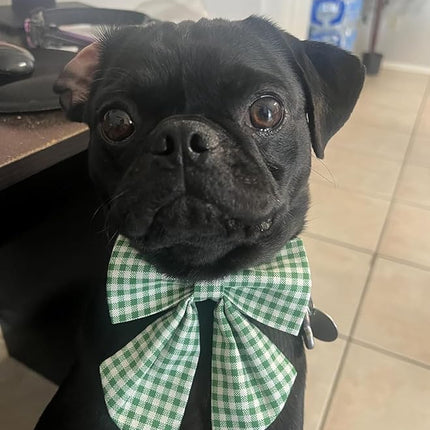 Lionet Paws Dog Collar with Sailor Bow, Durable Adjustable and Comfortable Green Bowtie Collar for Dogs, Medium, Neck 13.5-22in