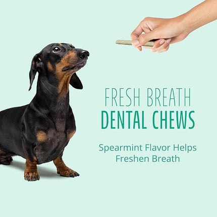 Better Belly Fresh Breath Dental Small Rolls, Dog Chews, Small, 10-Count