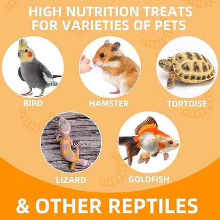 6 Pack Canned Grasshoppers for Reptiles, Fish, Birds and Small Animals, Grasshoppers, Healthy High Protein Treat, Bearded Dragon Food 7.2 Ounces Total