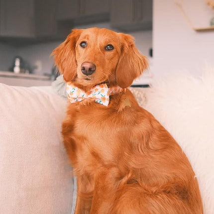 Elegant little tail Dog Collar, Peach Pattern Pet Collars with Bow Girl Cotton Bowtie Collars Spring Puppy Gift Adjustable Pet Collar for Large Dogs