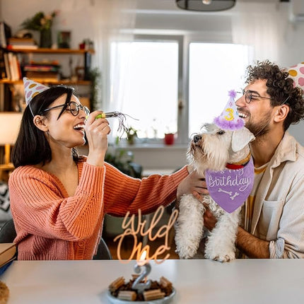 BINGPET Dog Birthday Bandana Scarf and Reusable Hat with 0-8 Figures,Cute Puppy Dog Birthday Outfit Party Supplies Gift for Small Medium Large Dogs Girl(Large)