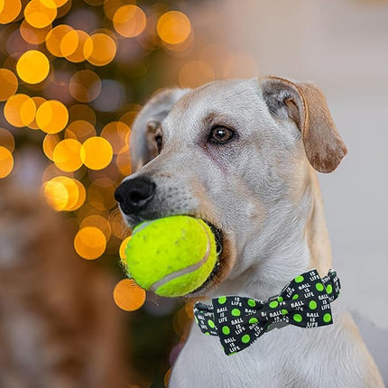Elegant Little Tail Balls Print Summer Dog Collar with Bow Tie - Cute Bowtie Collar for Small, Medium & Large Dogs
