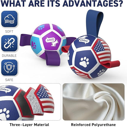 QDAN 2 Pack Small Dog Toys, Puppy Balls, Dog Balls with Straps for Small Breed, Soccer Ball for Dogs, Puppy Toys, Dog Birthday Gift (3.5 Inch)