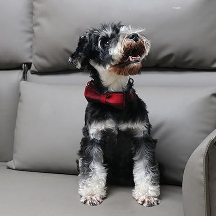 Lionet Paws Gird Dog Collar with Plastic Buckle, Cotton Fall Winter Bowtie Collar, Light Adjustable Collars for Small Medium Large Dogs