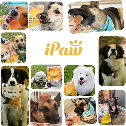 iPaw Chicken Tots Dog Treats for Puppy Training, All Natural Human Grade Dog Treat, Hypoallergenic, Easy to Digest (Chicken Tots), 5 Packs