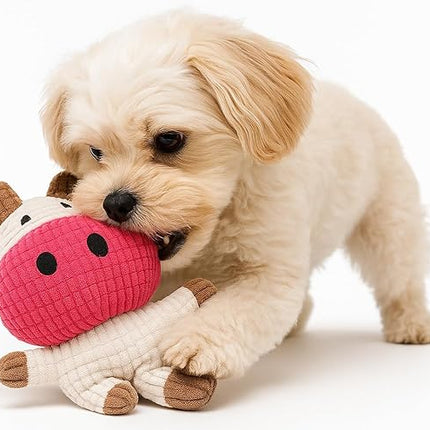 Jalousie Multipack Dog Squeaky Toys Bulk Bundle Pup Toy - Puppy Toys for Pets for Small Medium Breed (30 PCs Gift Basket)