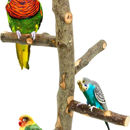 Bird Perch Nature Apple Hard Wood Stand, Parrot Stand Toy Branch Platform Paw Grinding Stick for Small Parakeets Cockatiels Conures Parrots Love Birds Finches Cage Accessories (Set 1)