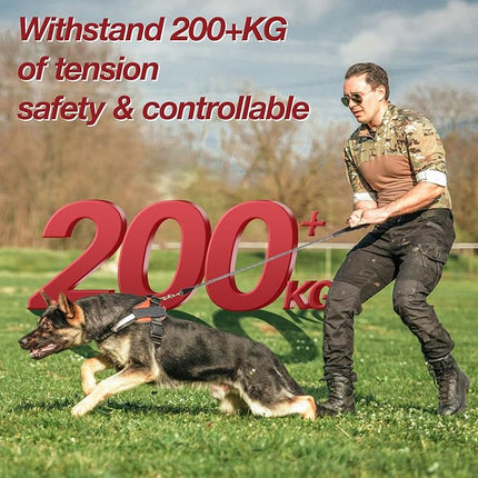 Black 4FT Dog Leash for Large Dogs Night Walking Reflective Heavy Duty Chew-Resistant Nylon Leash with Padded Handle and 360° Swivel Clip Strong for Medium to Large Breeds