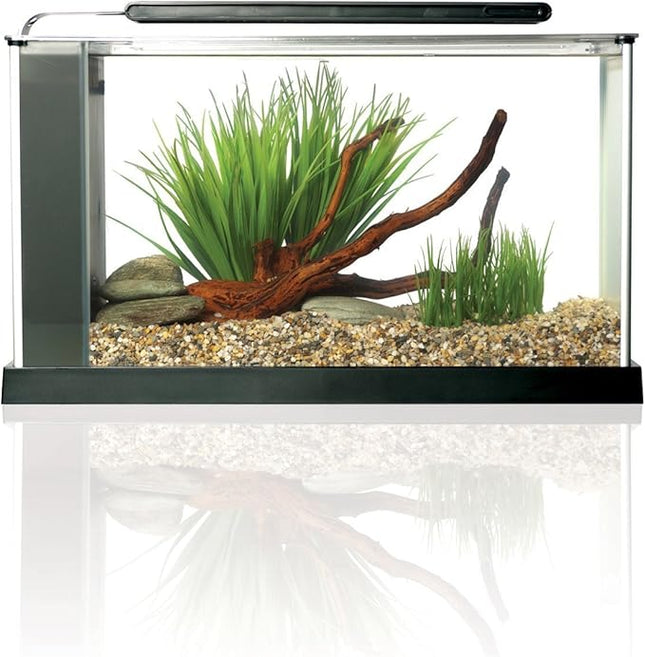 Fluval SPEC Aquarium Kit, Aquarium with LED Lighting and 3-Stage Filtration System, 5-Gallon