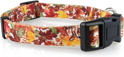 Limeloot Fall Dog Collar, Adjustable Thanksgiving Dog Collar in Small, Medium, and Large, Holiday Collar for Female and Male Dogs, Fall Leaves, Large