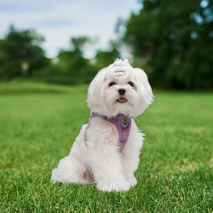 EXPAWLORER Classic Plaid Step-in Dog Harness with Adjustable Collar, Soft No-Pull Vest, Reflective, Purple