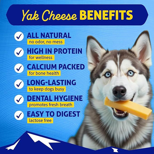 Himalayan Hard Cheese Chews | Long Lasting, Stain Free, Protein Rich, Low Odor | 100% Natural, Healthy & Safe | No Lactose, Gluten Or Grains | 2.5 lbs BULK TUB | SMALL | for s 15 Lbs & Smaller
