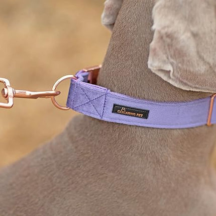 ARING PET Velvet Dog Collar and Leash Set, Soft Purple Dog Collar and Leash, Adjustable Collars for Dogs