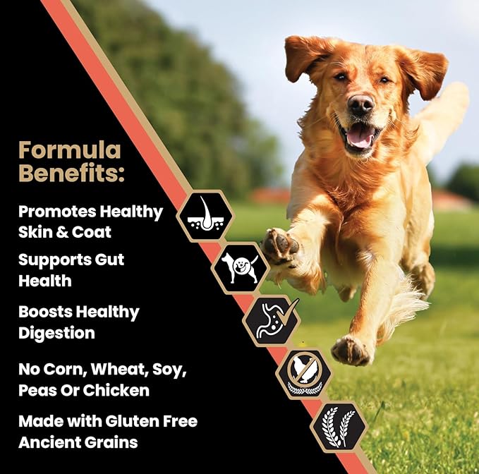 VICTOR Super Premium Dog Food — Sensitive Skin and Stomach — Salmon Meal & Brown Rice Recipe Dry Kibble — Gluten Free, No Chicken, Ideal for Dogs with Allergies — Adult and Puppy Food, 5 lb