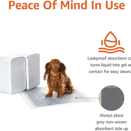 Amazon Basics Carbon Odor-Control Dog and Puppy Pee Pads, 5-Layer Leak-Proof Super Absorbent, Quick-Dry Surface, Potty Training, Regular (22x22"), 120 Count, Gray