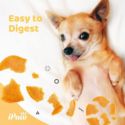 iPaw Turkey Chips Dog Treats for Puppy Training, All Natural Human Grade Dog Treat, US Sourced Raw Material, Hypoallergenic, Easy to Digest (Turkey Chips), 5 Packs