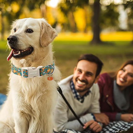 ARING PET Puppy Fall Dog Collar, Autumn Pumpkin Pet Collars for Small Medium Large Girl Boy Dogs Thanksgiving Halloween-XS Size