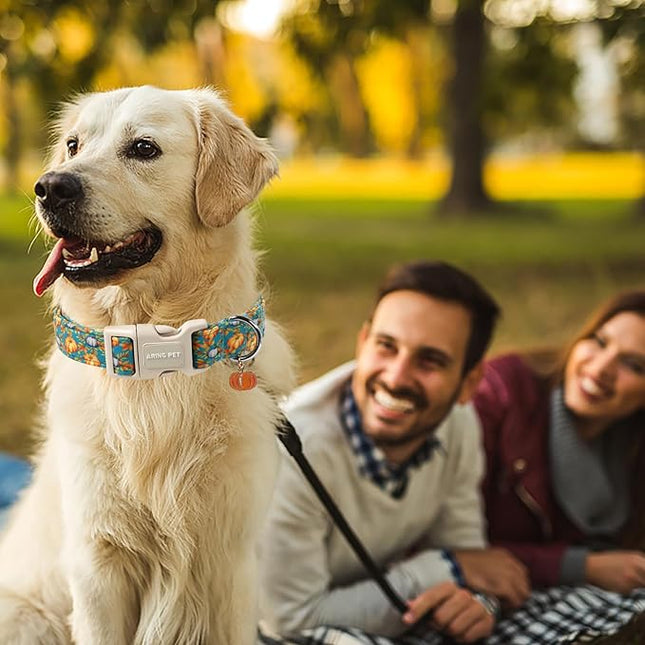ARING PET Puppy Fall Dog Collar, Autumn Pumpkin Pet Collars for Small Medium Large Girl Boy Dogs Thanksgiving Halloween-XS Size