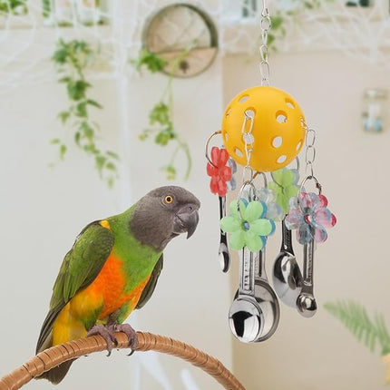 Hypeety Pet Parrot Toy Plastic Colorful Birds Ball with 1 Bell for Budgie African Grey Cockatoo Cockatiel Sun Conures 1 Ball with 5 Spoons
