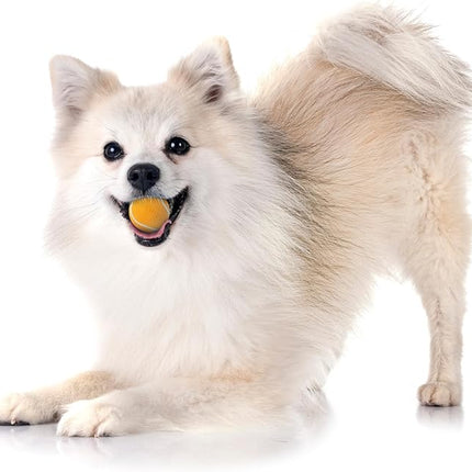 Playology Dog Toys | Squeaky Chew Ball - Bouncy Durable Floating Fetch Ball for Dogs, Value 3-Pack | Small Cheddar Cheese Scented Toy - Easy to Clean and Made from Non Toxic Materials