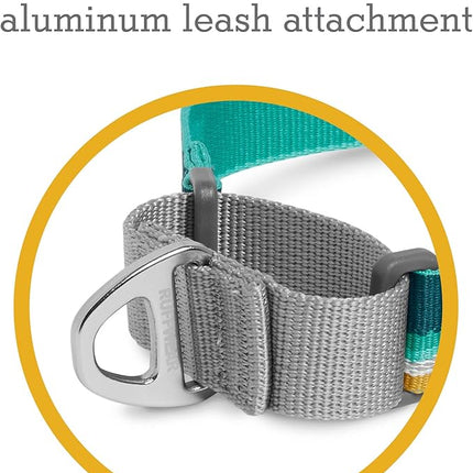 Ruffwear, Web Reaction Dog Collar, Escape-Proof Security Buckle, Adjustable Anti-Slip Martingale Collar with Durable Nylon Tubelok Webbing & Silent ID Attachment, Seafoam, 23"-26"