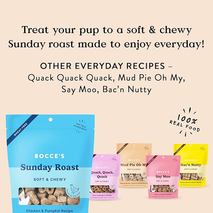 Bocce's Bakery Oven Baked Sunday Roast Treats for Dogs, Wheat-Free Everyday Dog Treats, Made with Real Ingredients, Baked in The USA, All-Natural Soft & Chewy Cookies, Chicken & Pumpkin Recipe, 6 oz