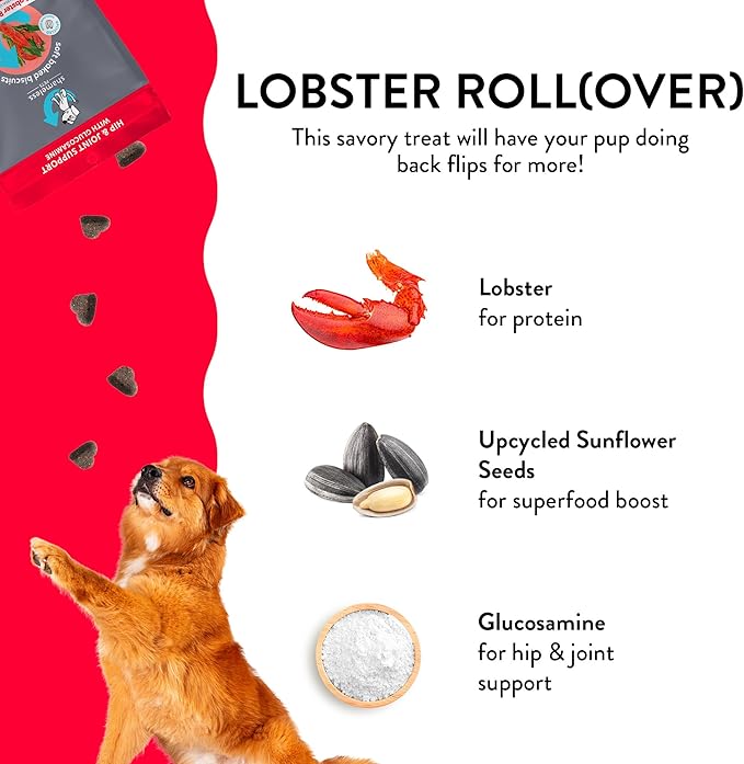 Shameless Pets Soft-Baked Dog Treats - Treats to Help Dog Health and Maintain Healthy Breath, Training Treats for Dogs, Made in The USA - 6 OZ