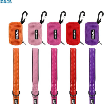 Best Pet Supplies 2-Pack Dog Poop Bag Holder Leash Attachment, Color, Reusable Mesh Dispenser Pouch for Travel, Walking, Park, and Outdoor Use, Soft and Durable with Clip-On - Mesh Baby Blue