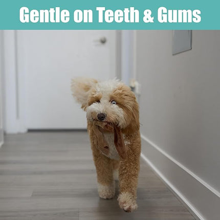 SPOT Skinneeez Beaver Dog Toy – 14" Stuffing-Free Plush Squeaky Dog Toy, Durable Interactive Toy for Small & Medium Dogs, Light to Moderate Chewers, Mess-Free Play