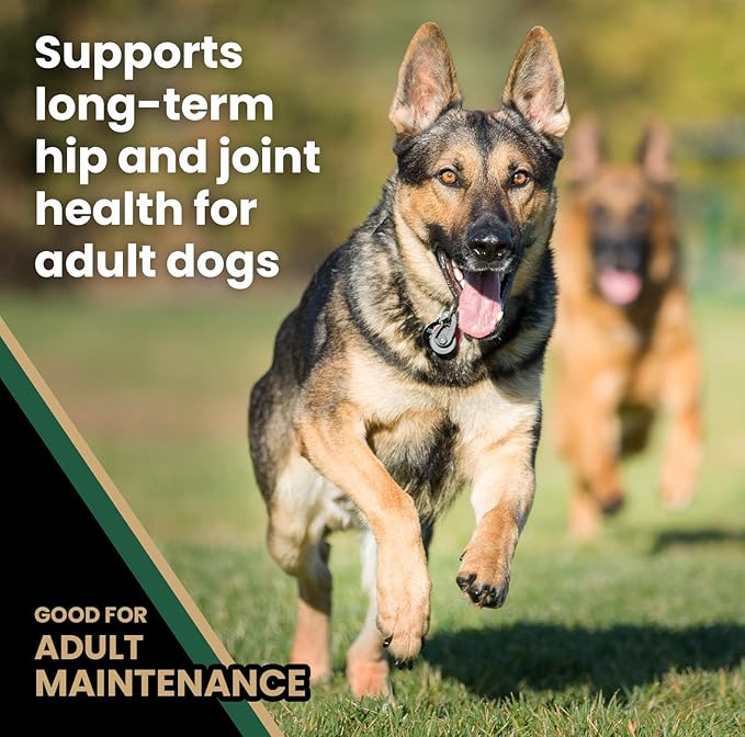 VICTOR Super Premium Dog Food – Purpose Hero Canine Kibble – Premium Gluten Free Dog Food for Active Adult Dogs – High Protein with Glucosamine and Chondroitin for Hip and Joint Health, 50lbs