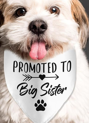 Big Sister Dog Bandana - Pregnancy Announcement Pet Scarf for Dog Lover Pregnancy Reveal Ideas