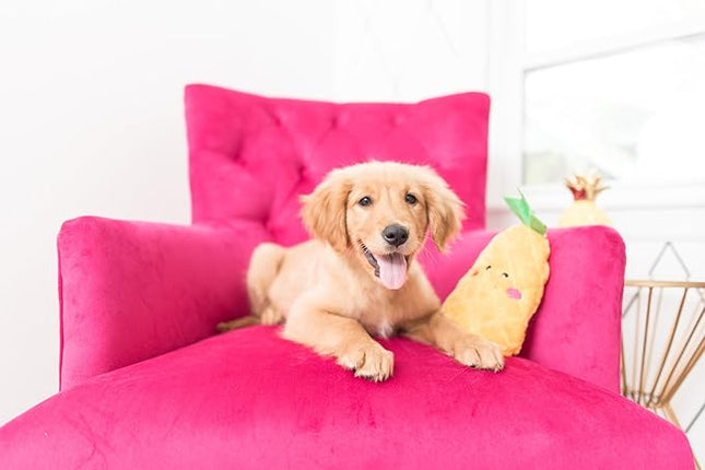 ZippyPaws NomNomz - Dog Squeaky Toys to Keep Them Busy, Funny Food Plush for Small & Medium Dogs, Cute Stuffed Puppy Toy, Pet Products, Gift for Dogs of All Breeds, Soft and Cuddly - Pineapple