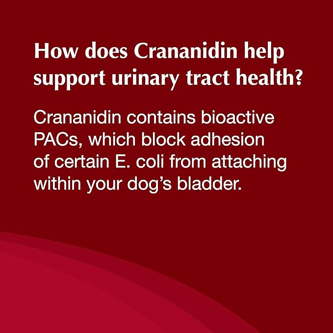 Nutramax Laboratories Crananidin Cranberry Extract Urinary Tract Health Supplement for Dogs, 75 Chewable Tablets