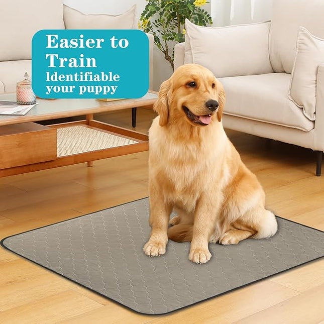 Washable Pee Pads for Dogs 36" x 48", 5 Pack, Reusable Potty Buddy for Dogs Washable, Dog Training Pads with Quick Dry, Large Anti-Slip Whelping Pad for Pet, Playpen, Incontinence