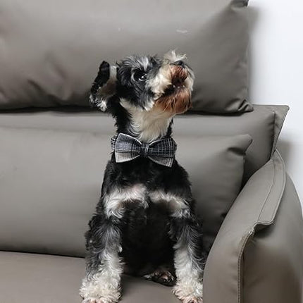 Lionet Paws Dog and Cat Collar with Bowtie Grid Dog Collar Plastic Buckle Light Adjustable Collars for Small Dogs Pets