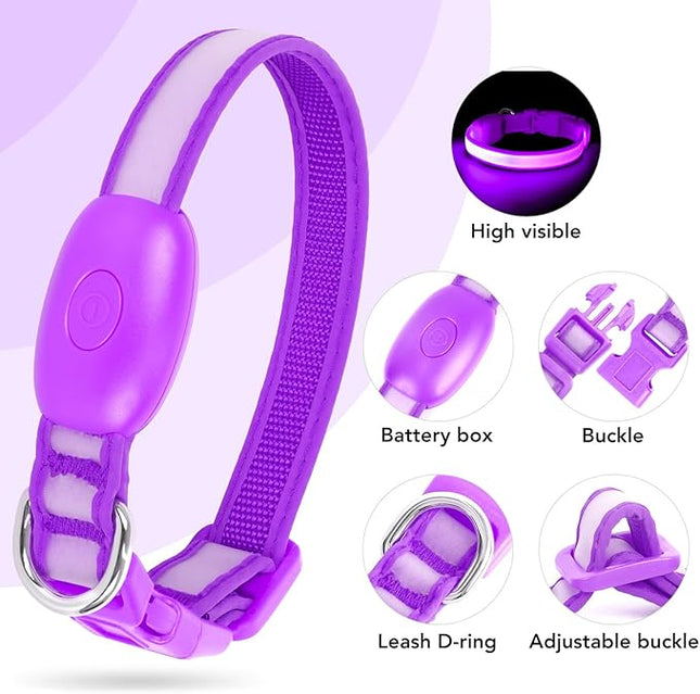 Light up Collar for Small Dog,Vizpet XS Adjustable Size Nylon Collar USB Rechargeable Bright Safety Pet Collar for Cats Small Dogs(Purple, X-Small[ 8.66-11.9 inch/22cm-30cm])
