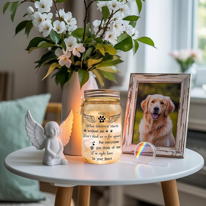 2IMT Dog Memorial Gifts, Pet Loss Sympathy Gift, Dog Sympathy Gifts for Loss of Dogs, Pet Memorial Gift for Dogs, Remembrance Bereavement Grieving Memorial Condolence for Cat, Jar Light Loss of Pets