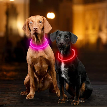 Light Up Dog Collar, Dlitk Rechargeable Cuttable LED Dog Collars, Pet Safety Light at Night Walking for Small Medium Large Dogs, Do Not Use Fast Charging (Red)