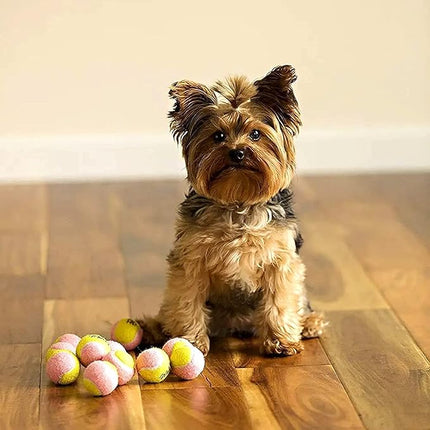 Midlee X-Small Dog Tennis Balls 1.5" Pack of 12- Puppy Mini Fetch Pet Little Tennis Balls -Yellow/Pink