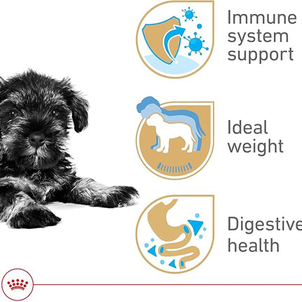 Royal Canin Breed Health Nutrition Miniature Schnauzer Puppy Dry Dog Food, 2.5 lb Bag