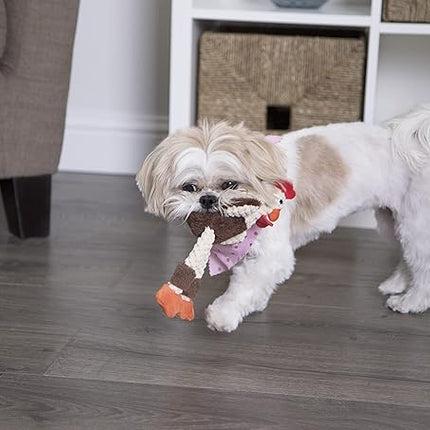 goDog Checkers Just for Me Skinny Rooster Squeaky Plush Dog Toy, Chew Guard Technology - Brown, Mini