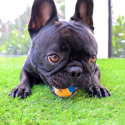 Midlee X-Small Dog Tennis Balls 1.5" Pack of 12 (Assorted, 1.5 inch)